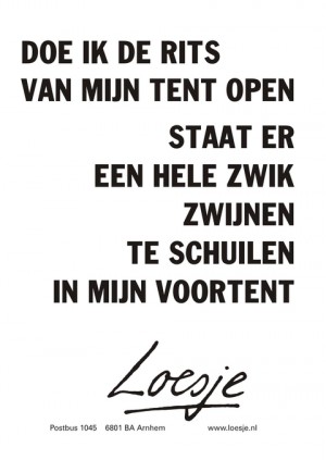 doe ik de rits van mijn tent open staat er een hele zwik zwijnen te schuilen in mijn voortent