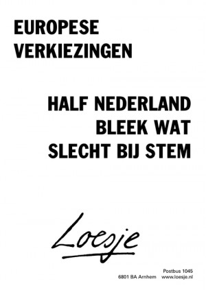 Europese verkiezingen; half Nederland bleek wat slecht bij stem