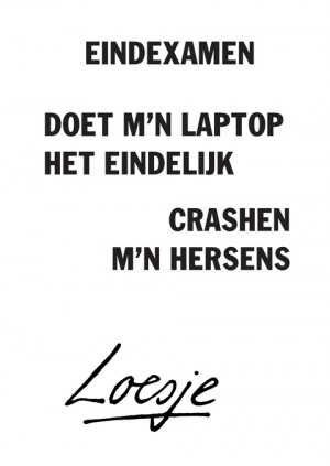 eindexamen // doet m’n laptop het eindelijk / crashen m’n hersens