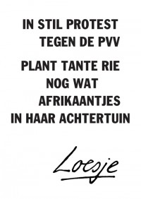 in stil protest tegen de PVV plant tante Rie nog wat afrikaantjes in haar achtertuin