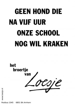 geen hond die na vijf uur onze school nog wil kraken – het broertje van