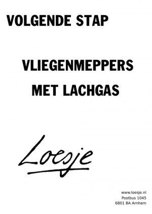 volgende stap vliegenmeppers met lachgas