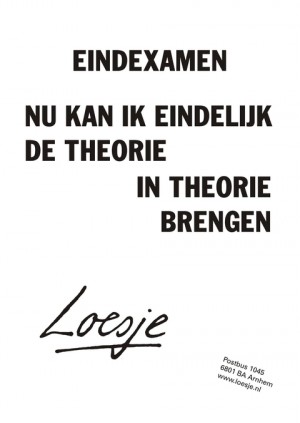 eindexamen nu kan ik eindelijk de theorie in theorie brengen