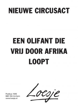 nieuwe circusact; een olifant die vrij door Afrika loopt