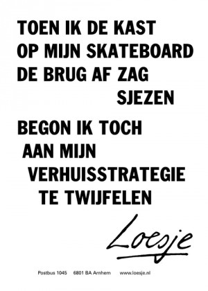 toen ik de kast op mijn skateboard de brug af zag sjezen, begon ik toch aan mijn verhuisstrategie te twijfelen