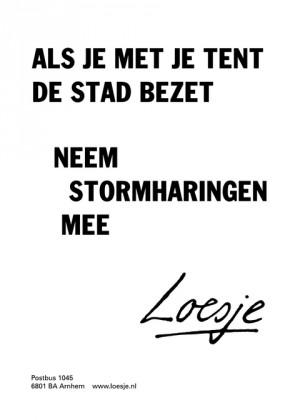als je met je tent de stad bezet, neem stormharingen mee