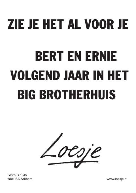 zie je het al voor je bert en ernie volgend jaar in het big brotherhuis