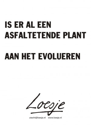 Is er al een asfaltetende plant aan het evolueren