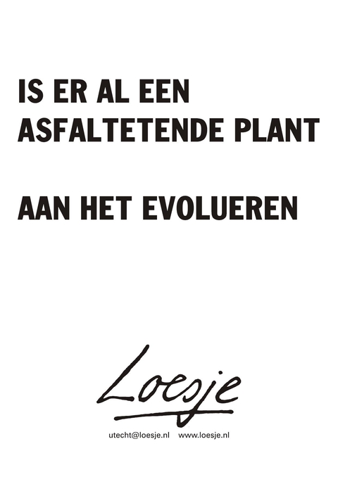 Is er al een asfaltetende plant aan het evolueren