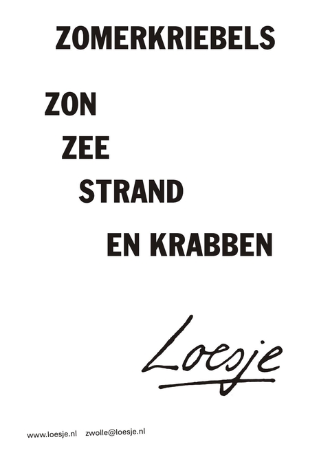 Zomerkriebels zon zee strand en krabben