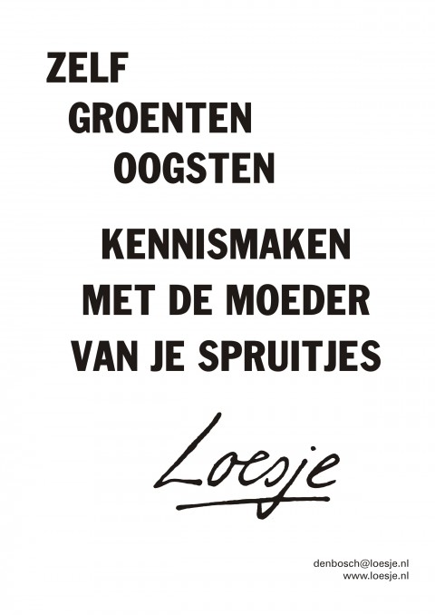 Zelf groenten oogsten kennismaken met de moeder van je spruitjes