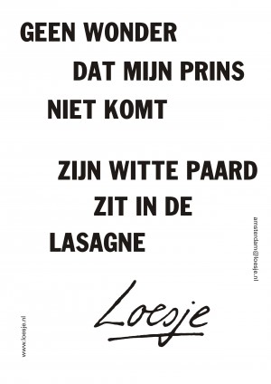 geen wonder dat mijn prins niet komt zijn witte paard zit in de lasagne