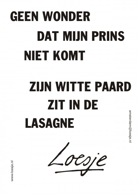 geen wonder dat mijn prins niet komt zijn witte paard zit in de lasagne
