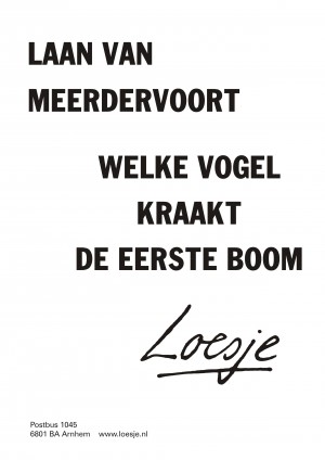 Laan van Meerdervoort welke vogel kraakt de eerste boom