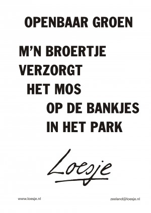Openbaar groen / mijn broertje verzorgt het mos op de bankjes van het park