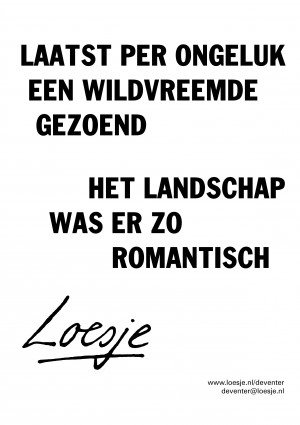 laatst per ongeluk een wildvreemde gezoend het landschap was er zo romantisch