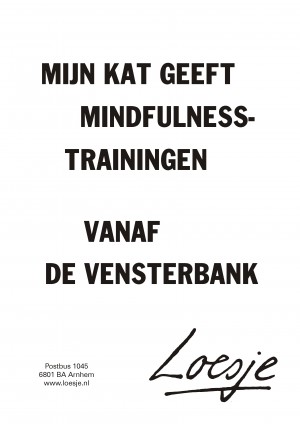 Mijn kat geeft mindfulnesstrainingen vanaf de vensterbank