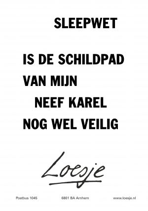 Sleepwet is de schildpad van mijn neef Karel nog wel veilig