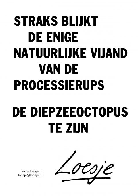 Straks blijkt de enige natuurlijke vijand van de processierups de diepzeeoctopus te zijn