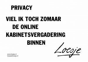 Privacy / viel ik toch zomaar de online kabinetsvergadering binnen