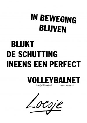 In beweging blijven / blijkt de schutting ineens een perfect volleybalnet