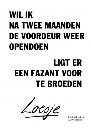 Wil ik na twee maanden de voordeur weer opendoen ligt er een fazant voor te broeden