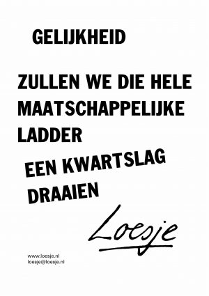 Gelijkheid / zullen we die hele maatschappelijke ladder een kwartslag draaien