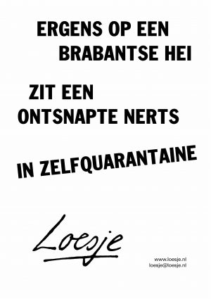 Ergens op een Brabantse hei zit een ontsnapte nerts in zelfquarantaine