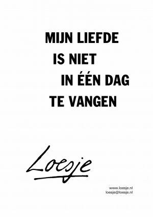 Mijn liefde is niet in één dag te vangen