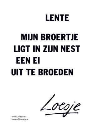 Lente / mijn broertje ligt in zijn nest een ei uit te broeden