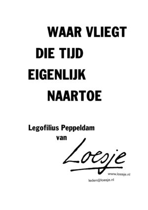 Waar vliegt die tijd eigenlijk naartoe – legofilius peppeldam van