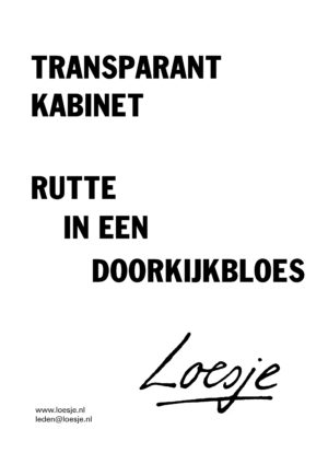 Transparant kabinet / Rutte in een doorkijkbloes