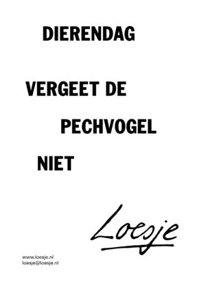 Dierendag / Vergeet de pechvogel niet