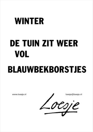 Winter / de tuin zit weer vol blauwbekborstjes