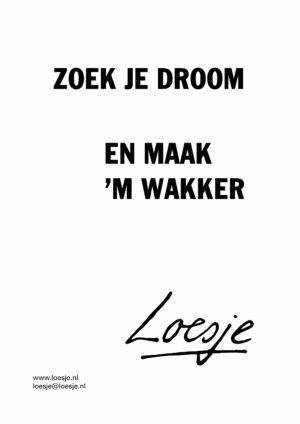 Zoek je droom en maak ‘m wakker