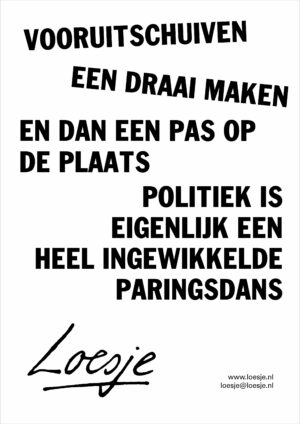 Vooruitschuiven / een draai maken en dan een pas op de plaats / poltitiek is eigenlijk een heel ingewikkelde paringsdans