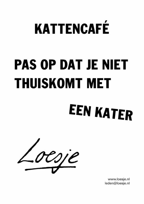 Kattencafé/ pas op dat je niet thuiskomt met een kater