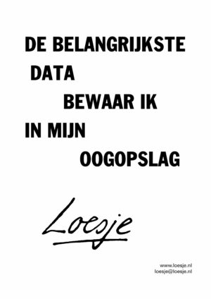 De belangrijkste data / bewaar ik in mijn oogopslag