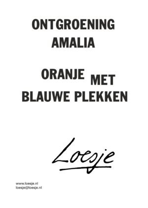 Ontgroening Amalia / oranje met blauwe plekken