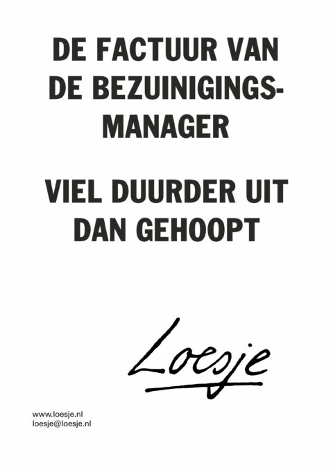 De factuur van de bezuinigingsmanager viel duurder uit dan gehoopt