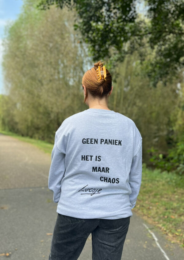 Grijze sweater - Geen paniek het is maar chaos