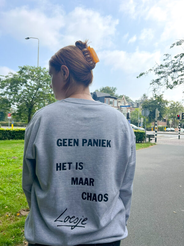 Grijze sweater - Geen paniek het is maar chaos