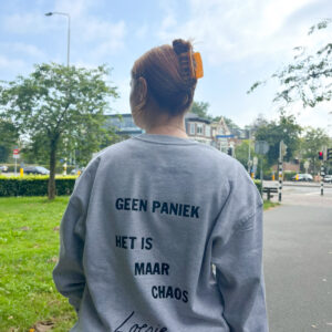 Grijze sweater - Geen paniek het is maar chaos