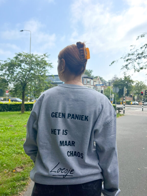 Grijze sweater - Geen paniek het is maar chaos