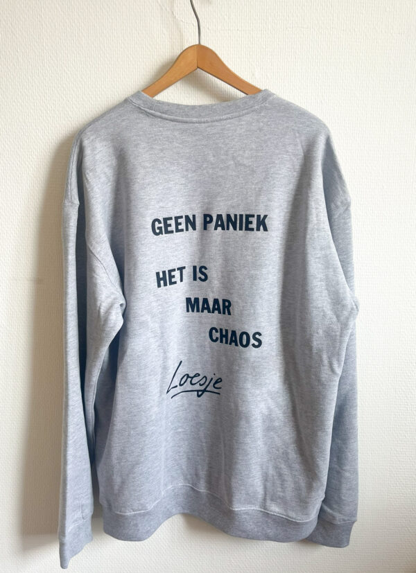 Grijze sweater - Geen paniek het is maar chaos