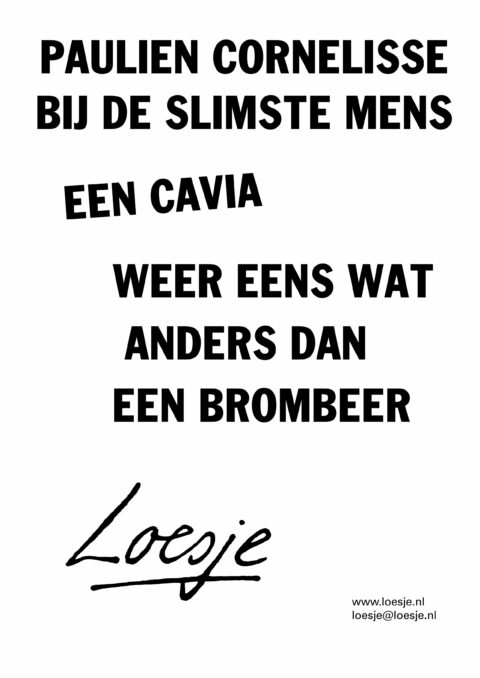 Paulien Cornelisse bij de slimste mens/ een cavia/ weer eens wat anders dan een brombeer