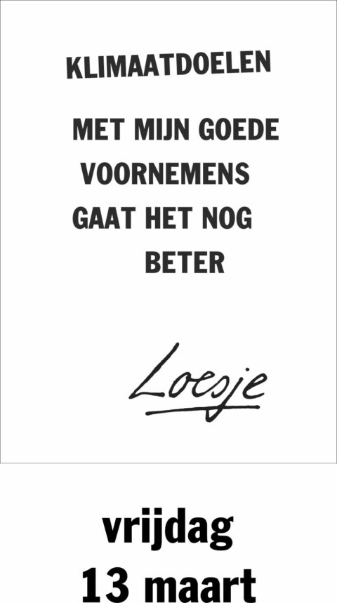 Klimaatdoelen met mijn goede voornemens gaat het nog beter