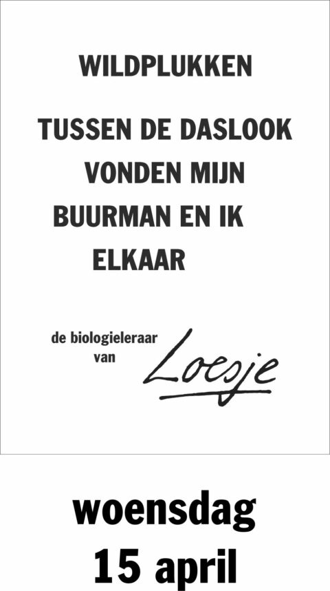 Wildplukken tussen de daslook vonden mijn buurman en ik elkaar