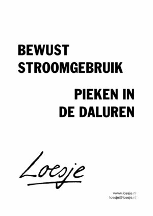 bewust stroomgebruik / pieken in de daluren