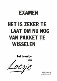 examen / het is zeker te laat om nu nog van pakket te wisselen - het broertje van